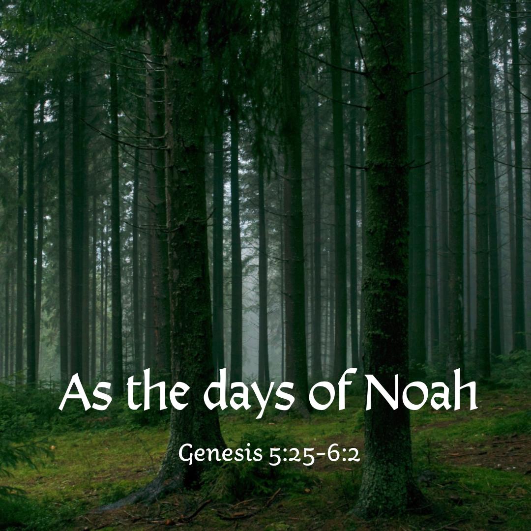 As the days of Noah | Session 27 | Genesis 5:25-6:2